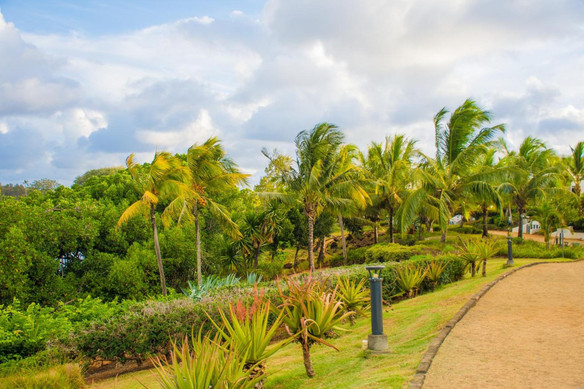 Azuri With Beach, Pools, Gym, Golf, Shops, Restaurants, Spa, Boat Activities, Tennis &paddle Court, Kids Corner Appartement